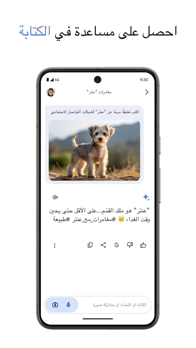 تطبيق Google Gemini