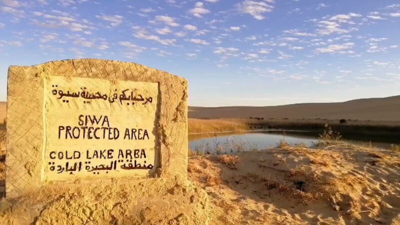 واحة سيوة